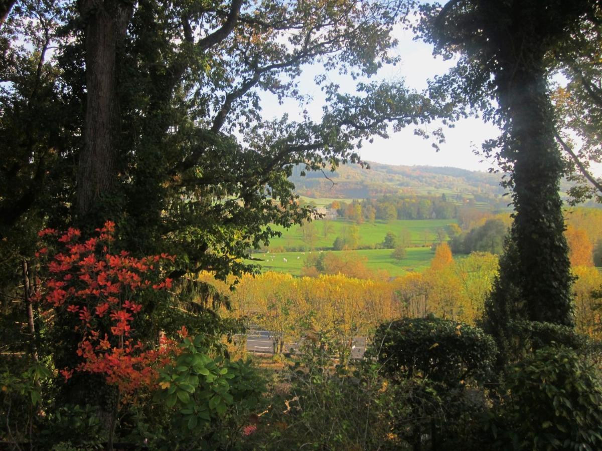 Clermain Le Manoir Sur La Roche, 74, Impasse Du Manoir, 71520 Navour Sur Grosne D121 B&B 외부 사진